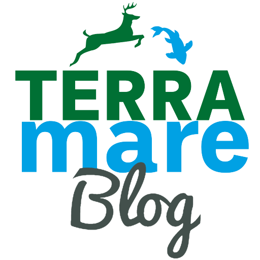 Terramare Blog